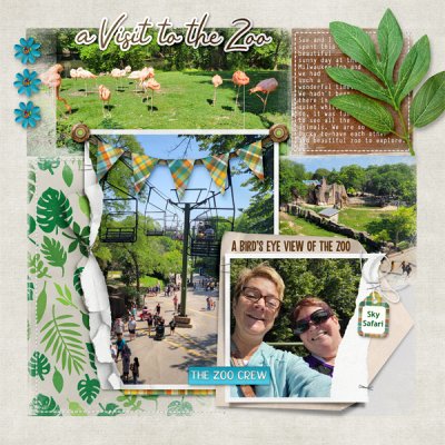 Zoo Day