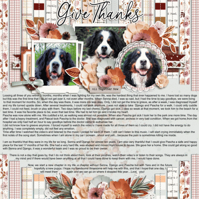 Give Thanks