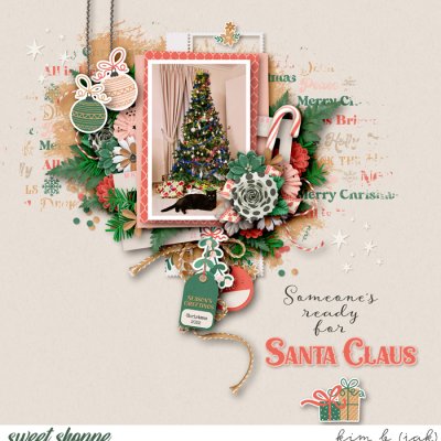 Ready for Santa