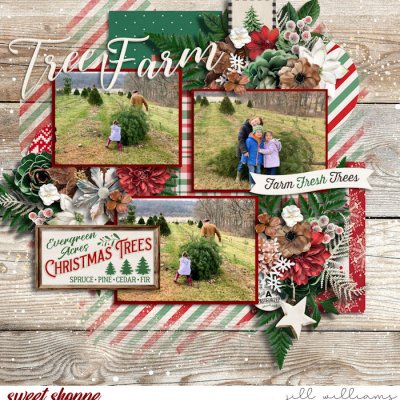 Christmas Tree Farm