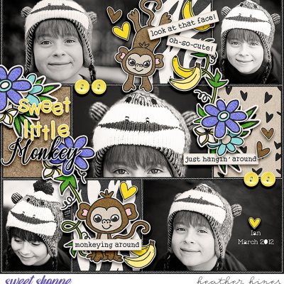 Sweet Little Monkey