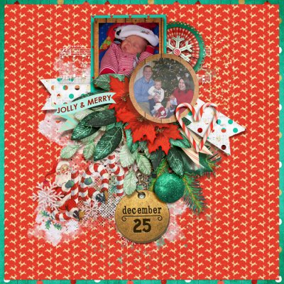 tnp-CHRISTMASHOLLY-cherylLO2