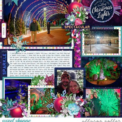 Magical Kingwood lights left
