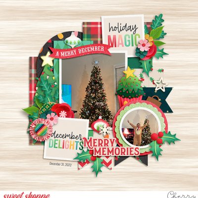 Merry Memories