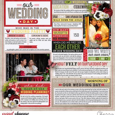 Our Wedding Day
