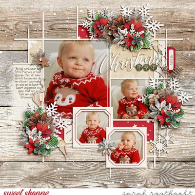 Christmas Joy