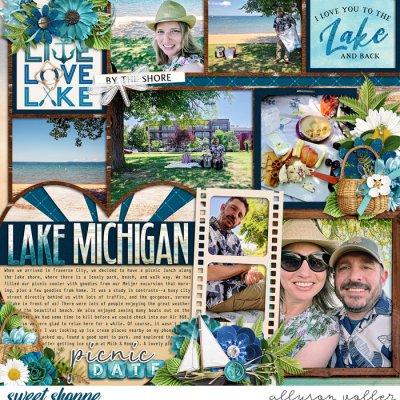 Lake Michigan Picnic Date