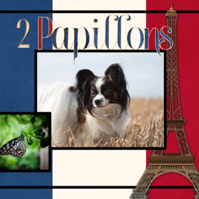 2 Papillons