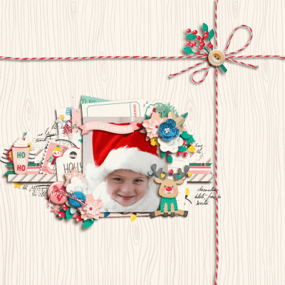 Holly