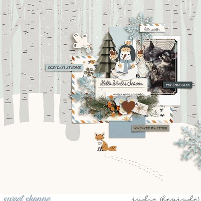 Winter Pet Snuggles
