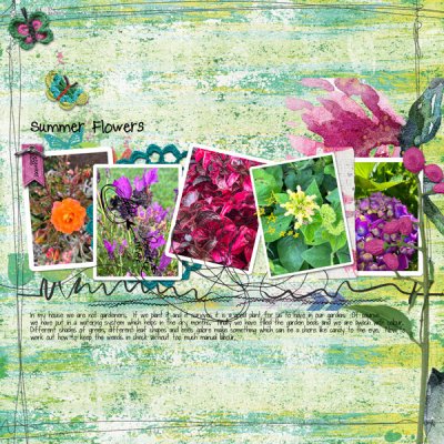 Summer Flowers