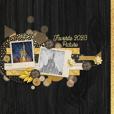 Favorite 2023 Picture