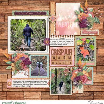 Crisp Air Warm Hearts