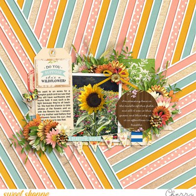 Wildflower