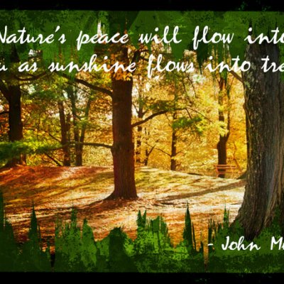 ATC 2024-004 Nature's Peace