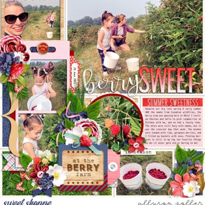 Berry Sweet