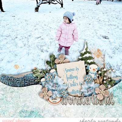 winter wonderland