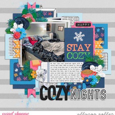 Cozy Nights