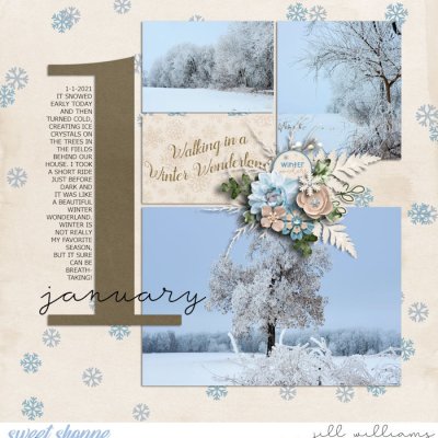 Winter Wonderland