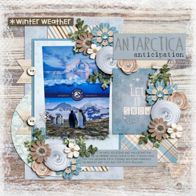 Antarctica Anticipation