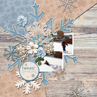 winter wonder