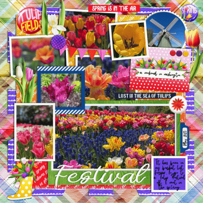 Tulips