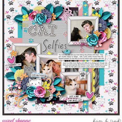 Cat Selfies