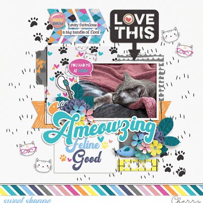 Ameowzing