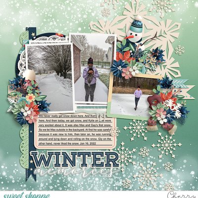 Winter Memories