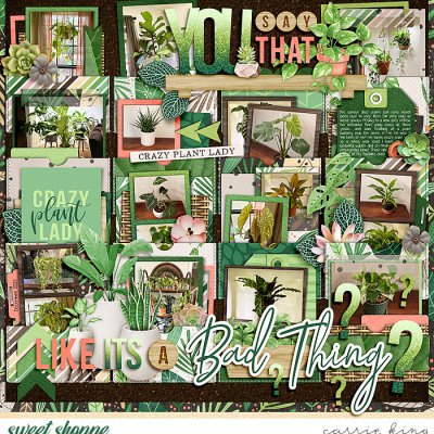 Crazy Plant Lady