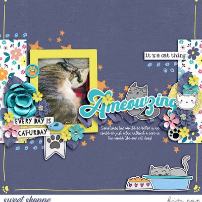Ameowzing