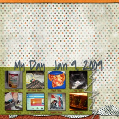 My Day 1-9-09 (Challenge A Day)