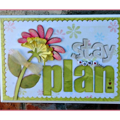 {Hybrid} On Plan Plaque
