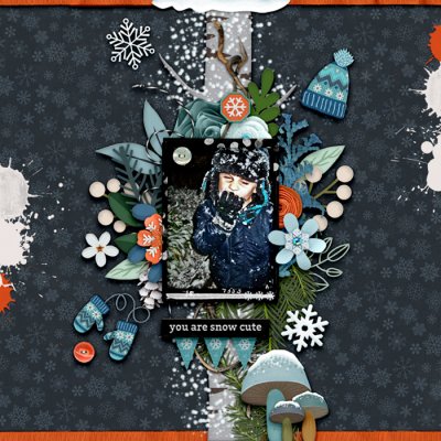 -cmg-in-the-winter