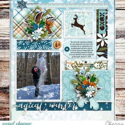 Magical Winter
