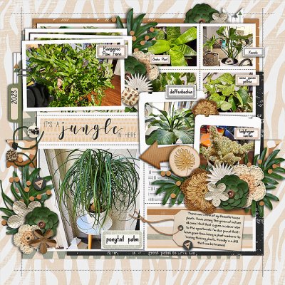 Houseplants