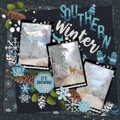 Southern Winter