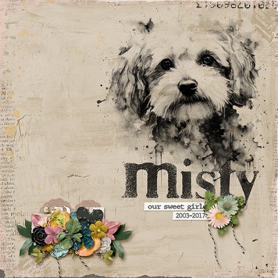 Our Sweet Girl Misty