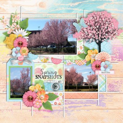 Spring Snapshots