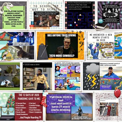 2020 A Year of Memes Pg 3