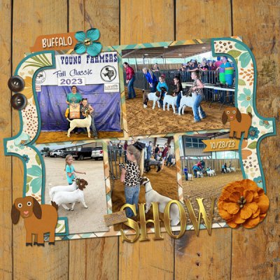 Goat Show