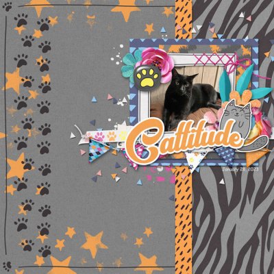 Cattitude