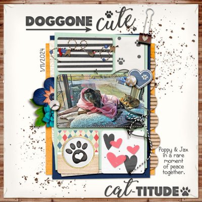 Doggone Cat
