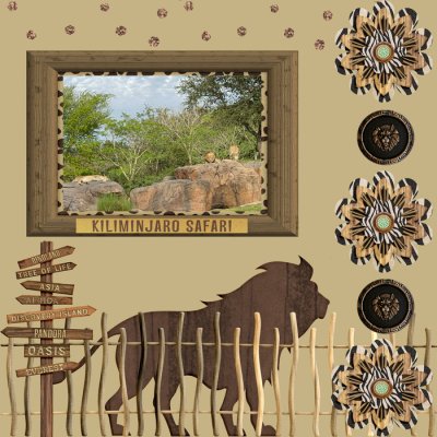 Animal Kingdom Safari Lions