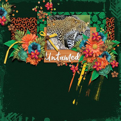untamed