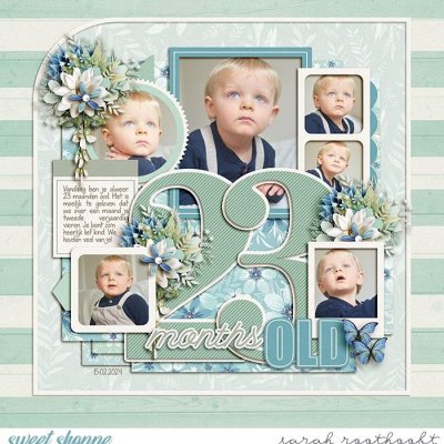 23 months old