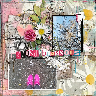 Almond blossoms