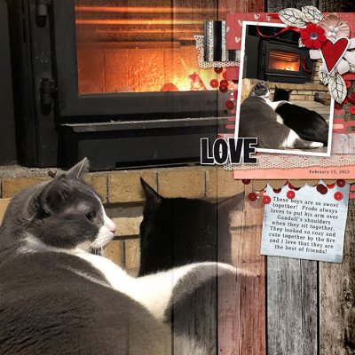 Kitty Love