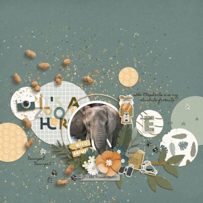 At the Zoo - Collection