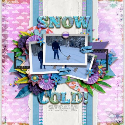 Snow Cold!